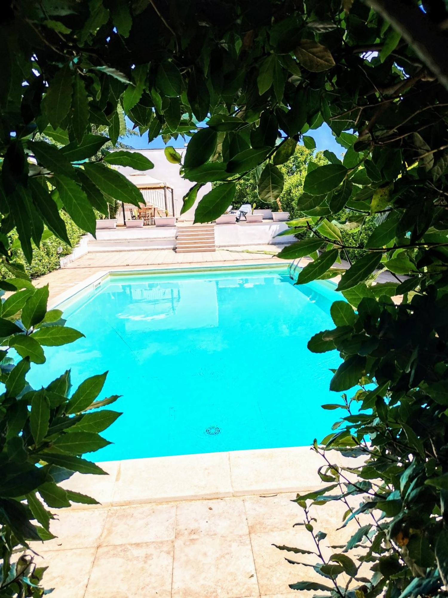 マルティナ・フランカ Trulli And Pool - I Cactusヴィラ エクステリア 写真