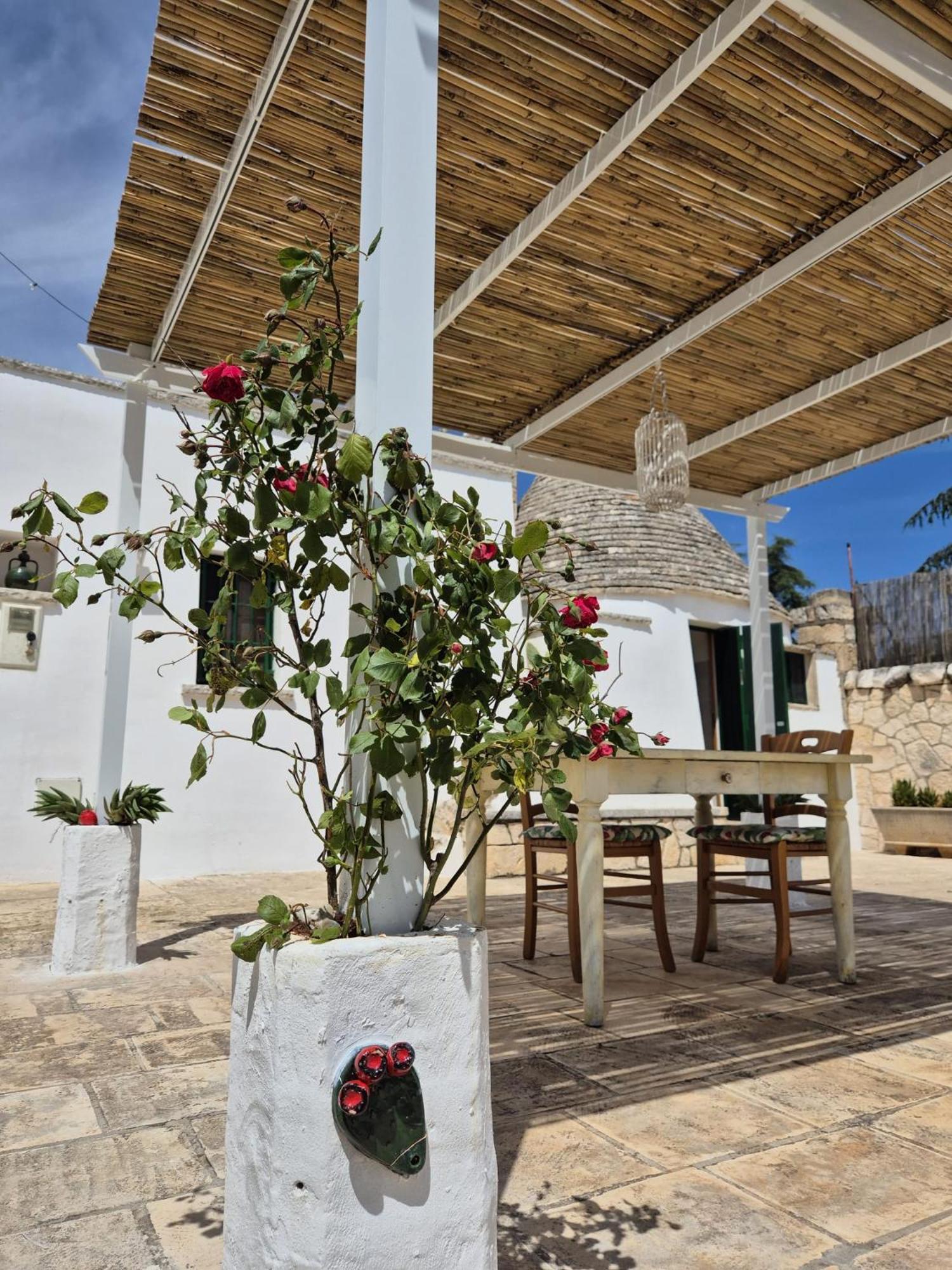 マルティナ・フランカ Trulli And Pool - I Cactusヴィラ エクステリア 写真